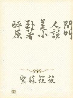 醉卧美人间小说原著小说叫什么名字