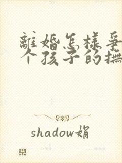 离婚怎样争夺两个孩子的抚养权