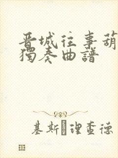 晋城往事葫芦丝独奏曲谱封面