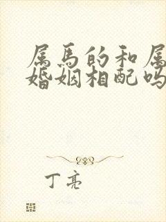 属马的和属蛇的婚姻相配吗封面