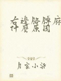 右边胳膊麻木是什么原因