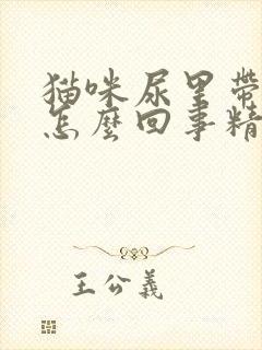 猫咪尿里带血是怎么回事精神很好