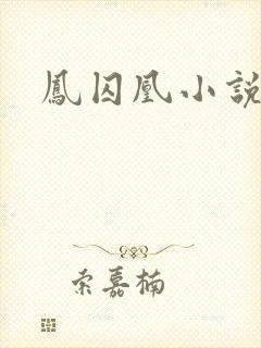 凤囚凰小说