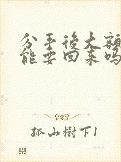 分手后大额转账能要回来吗