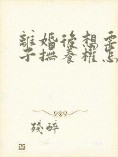 离婚后想要回孩子抚养权怎么起诉封面