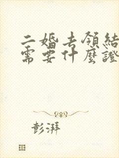 二婚去领结婚证需要什么证件