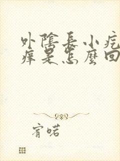 外阴长小疙瘩还痒是怎么回事