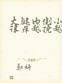 大腿内侧小红点很痒越挠越痒封面