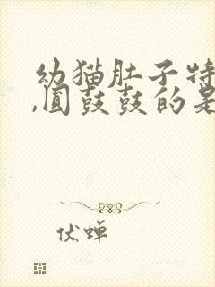 幼猫肚子特别大,圆鼓鼓的是怎么回事