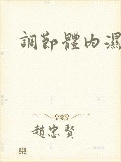 调节体内湿气重封面