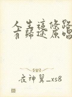 人生这条路从没有归途原唱封面