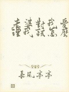 老婆对我爱答不理我该怎么办封面