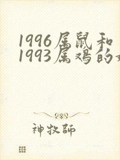 1996属鼠和1993属鸡的婚姻怎么样