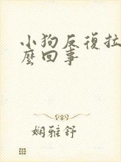 小狗反复拉稀怎么回事