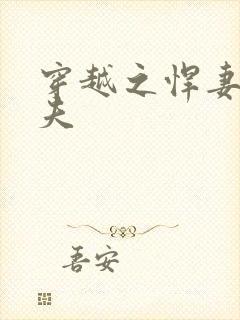 穿越之悍妻共三夫