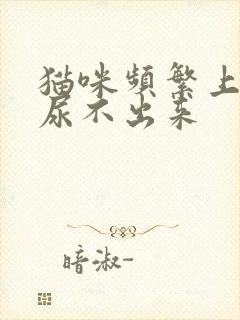 猫咪频繁上厕所尿不出来