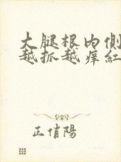 大腿根内侧痒痒越抓越痒红疙瘩