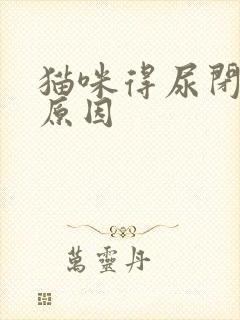 猫咪得尿闭症的原因