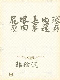 屁眼长肉球是怎么回事还疼