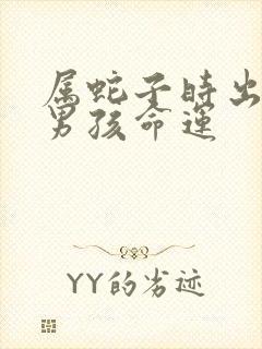 属蛇子时出生的男孩命运封面