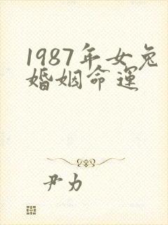 1987年女兔婚姻命运