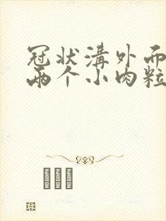 冠状沟外面长了两个小肉粒
