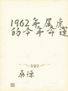 1962年属虎的今年命运如何