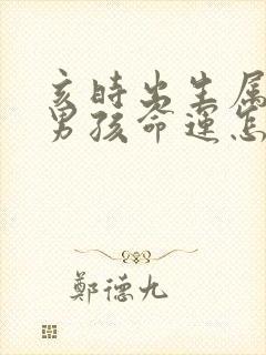 亥时出生属猪的男孩命运怎么样