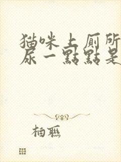 猫咪上厕所频繁尿一点点是什么原因