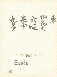 九米六货车能拉多少吨货