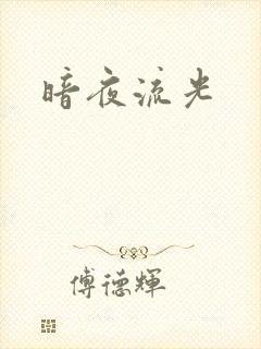 暗夜流光封面