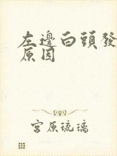 左边白头发多的原因封面