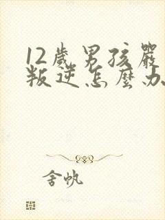 12岁男孩严重叛逆怎么办