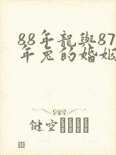 88年龙与87年兔的婚姻怎么样
