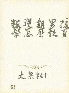 叛逆期男孩子厌学怎么教育