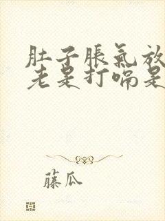 肚子胀气放屁还老是打嗝是怎么回事