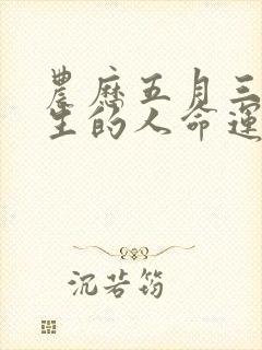 农历五月三十出生的人命运封面