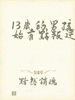 13岁的男孩开始有点叛逆了该怎么办