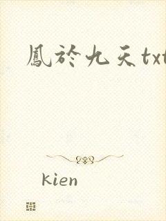 凤于九天txt