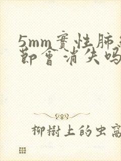 5mm实性肺结节会消失吗