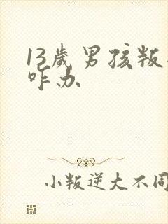 13岁男孩叛逆咋办