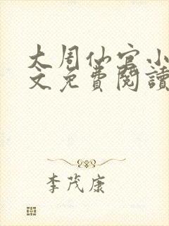 大周仙官小说全文免费阅读封面