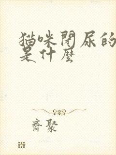 猫咪闭尿的原因是什么