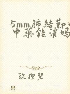 5mm肺结节吃中药能消吗