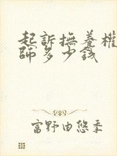 起诉抚养权请律师多少钱