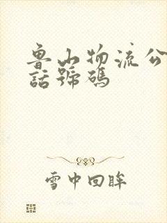 鲁山物流公司电话号码