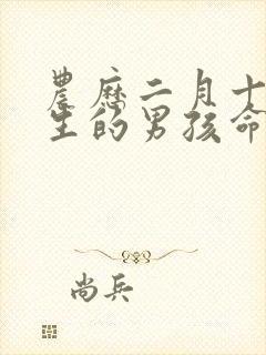 农历二月十五出生的男孩命运好吗