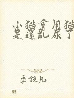 小猫会用猫砂但是还乱尿了