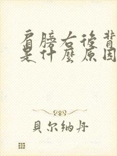 肩膀右后背痛疼是什么原因封面