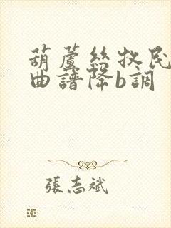 葫芦丝牧民新歌曲谱降b调封面